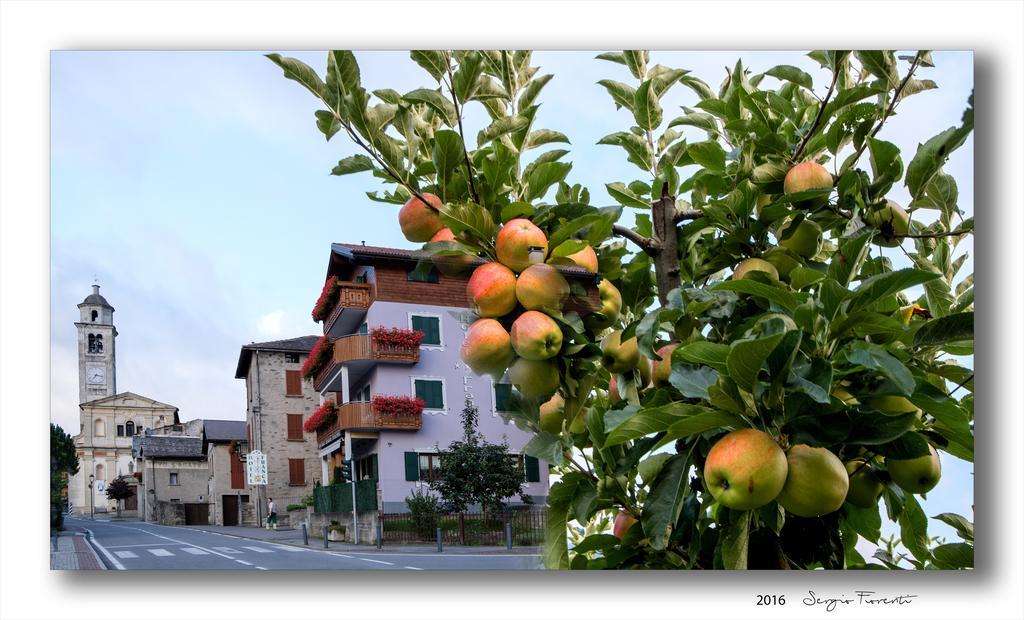 Hotel Ristorante Franca Tovo di Sant'Agata Eksteriør bilde